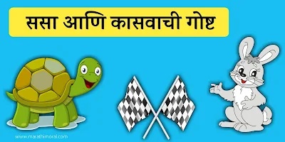 Tortoise and Rabbit Story in Marathi