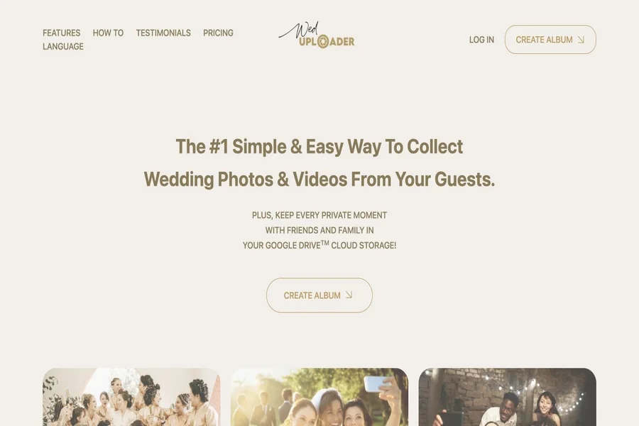 Wedding Guest Photos